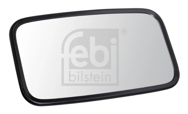 Exterior Mirror, driver cab
